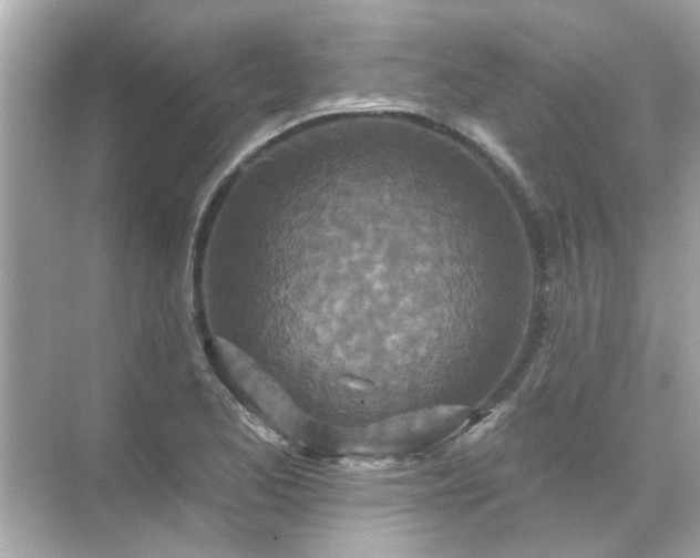 X0000071851173200607072254