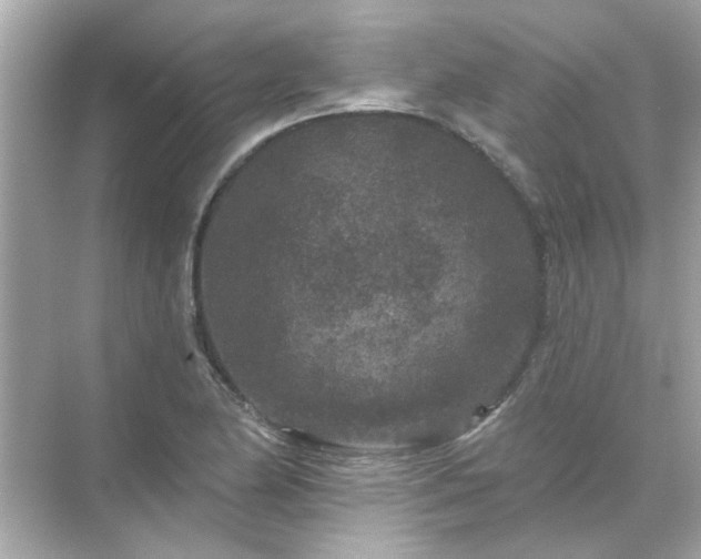 X0000071851174200607072254