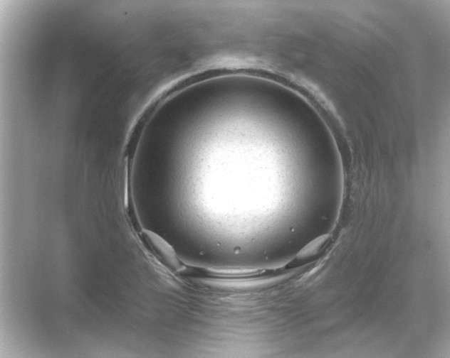 X0000071851175200607072254