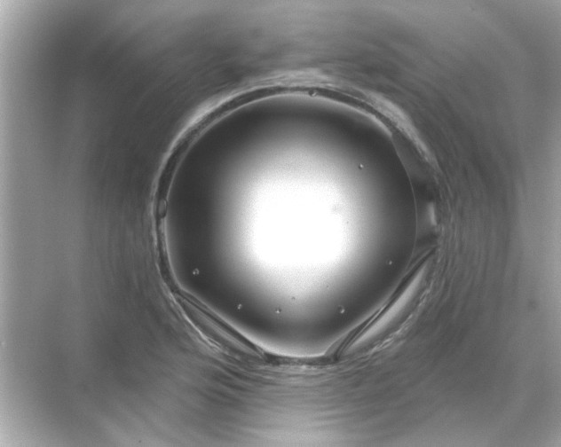 X0000071851176200607072254