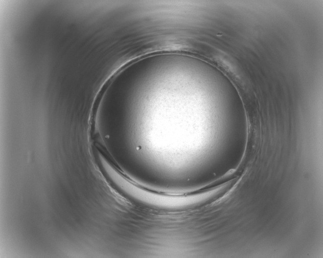 X0000071851178200607072254