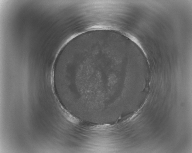 X0000071851179200607072253