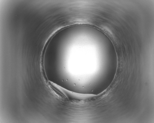 X0000071851182200607072253