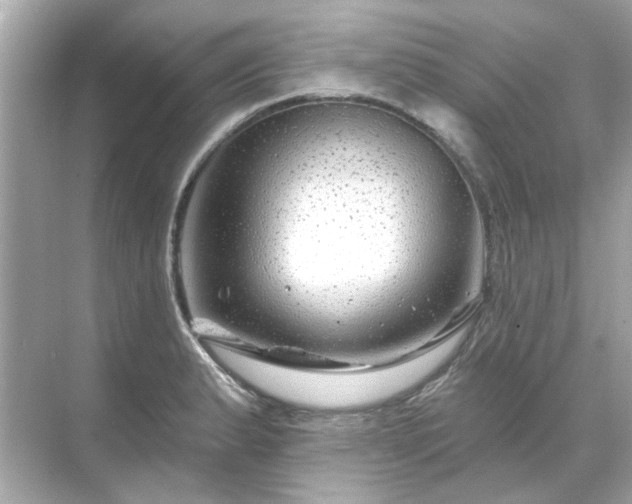 X0000071851183200607072253