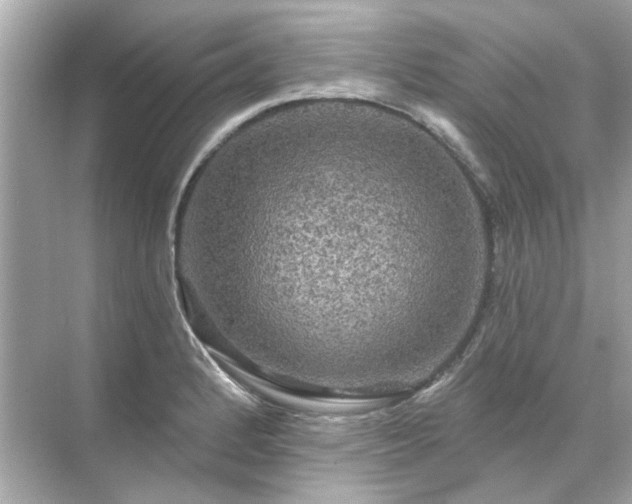 X0000071851184200607072253