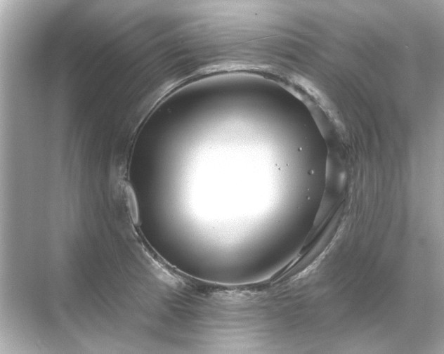 X0000071851185200607072253