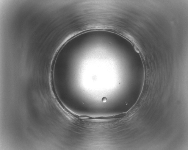 X0000071851187200607072253