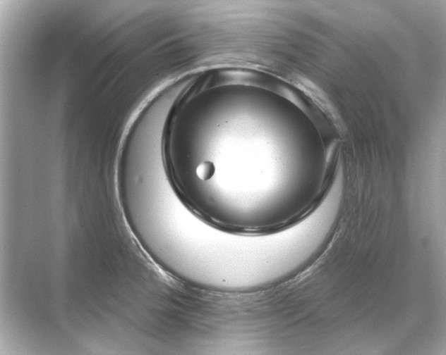 X0000071851188200607072253