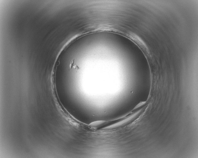 X0000071851190200607072253