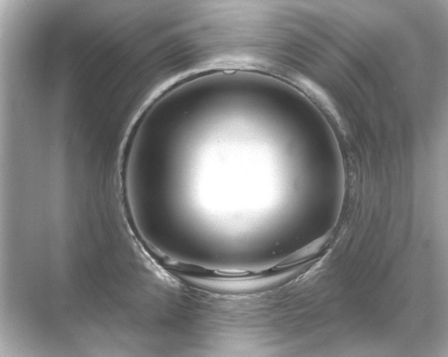 X0000071851192200607072253