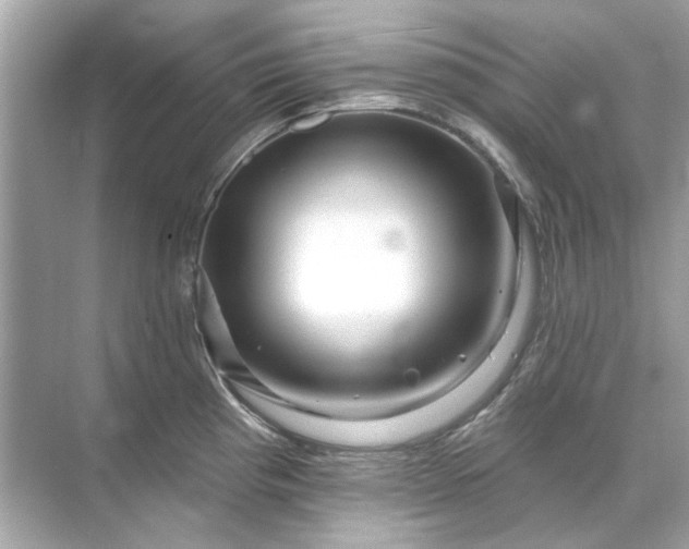 X0000071851193200607072253