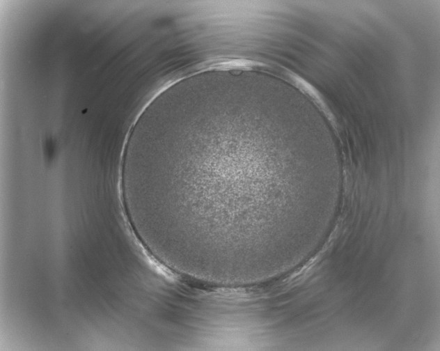 X0000071851194200607072253