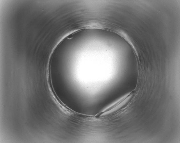 X0000071851195200607072253