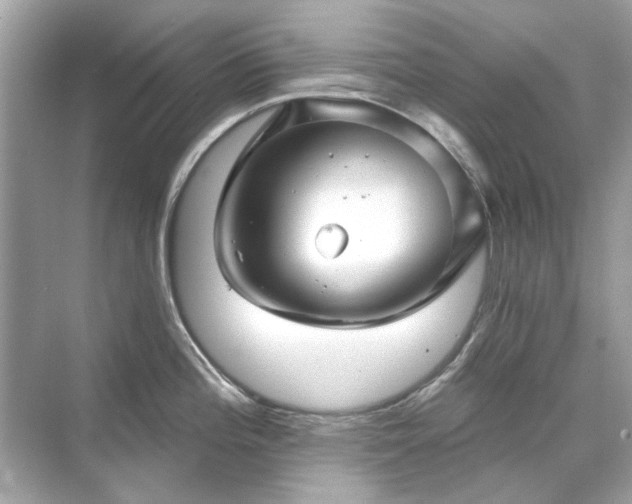 X0000071851196200607072253