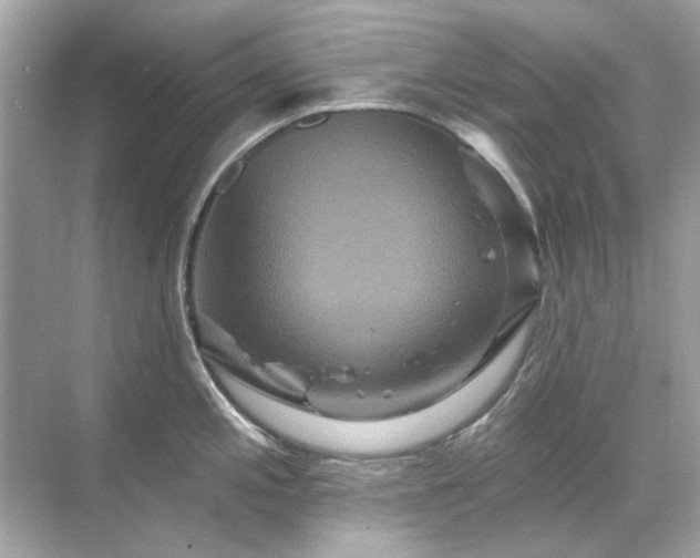 X0000071851197200607072253