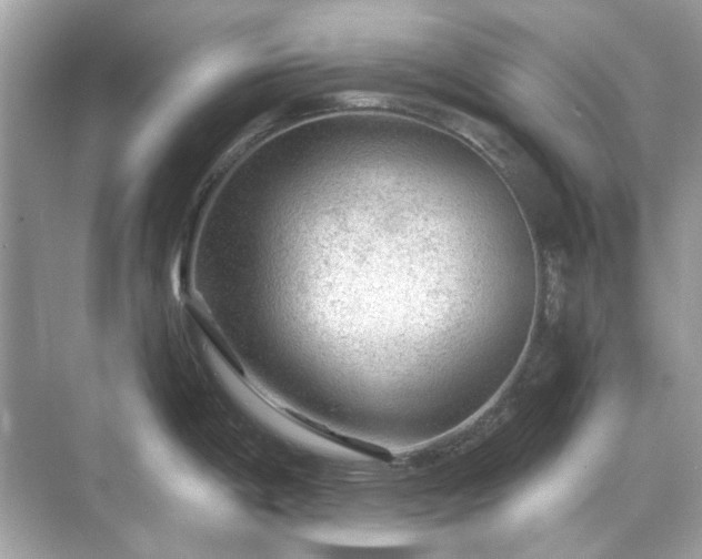 X0000071851198200607072253