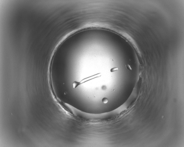 X0000071851199200607072253