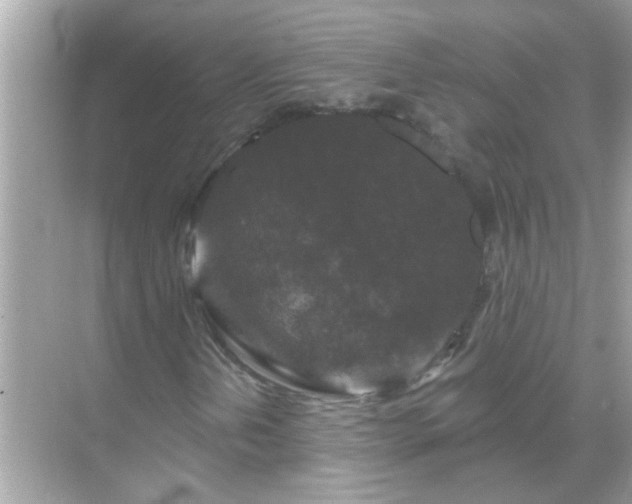 X0000071851202200607072252