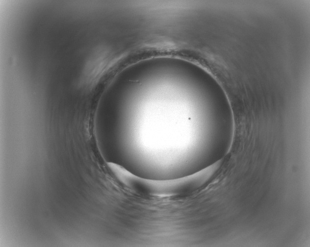 X0000071851205200607072252