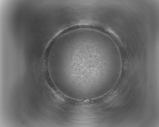 X0000071851208200607072252