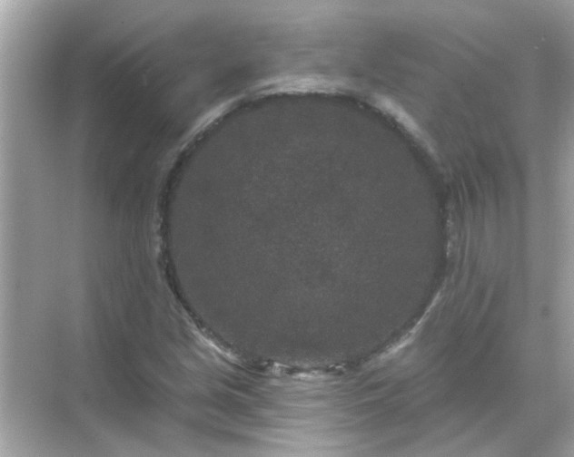 X0000071851213200607072253