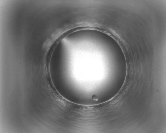 X0000071851215200607072253