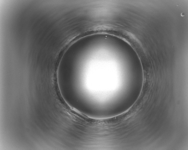 X0000071851217200607072253