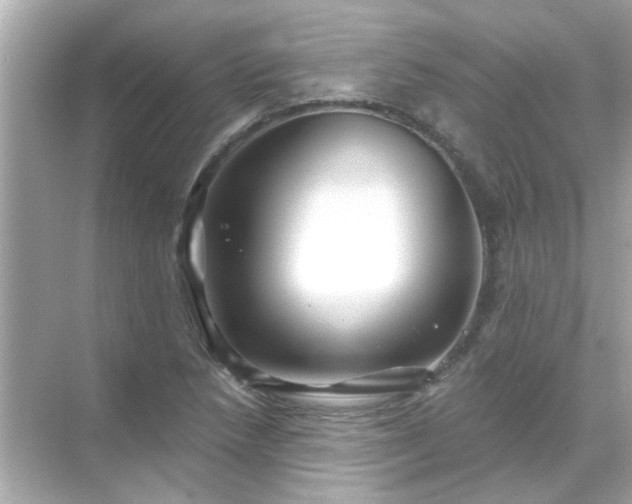 X0000071851218200607072253