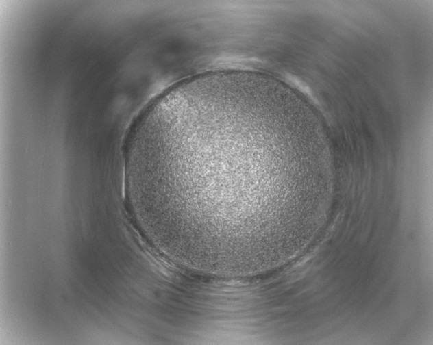 X0000071851219200607072253