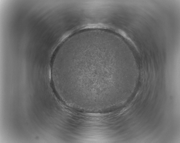 X0000071851221200607072253