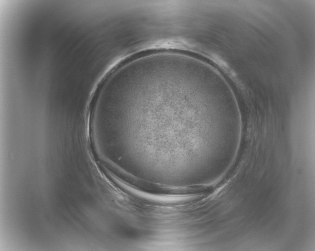 X0000071851224200607072253