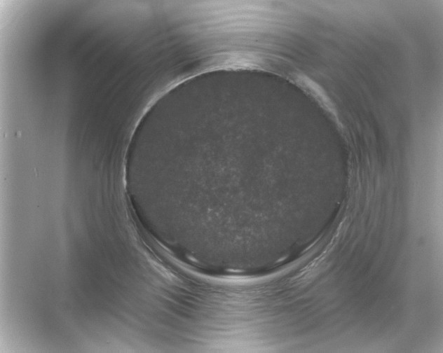 X0000071851226200607072253