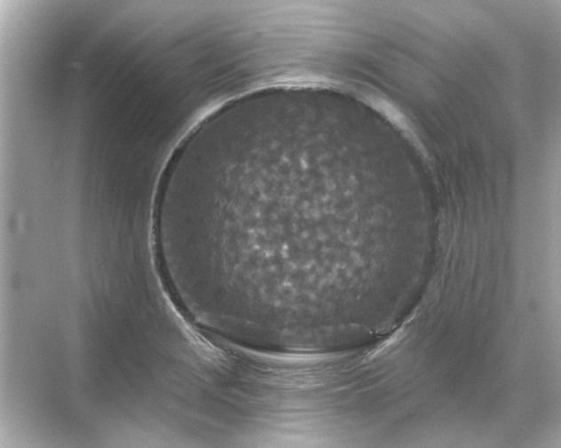 X0000071851229200607072253