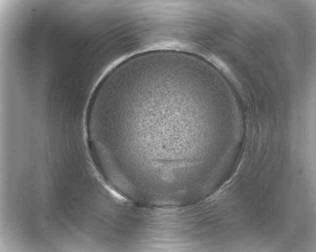 X0000071851230200607072253