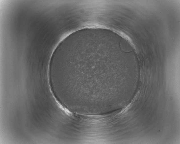 X0000071851231200607072253