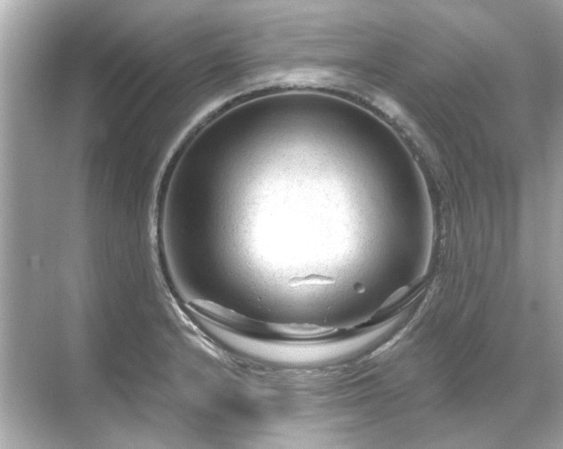 X0000071851232200607072253