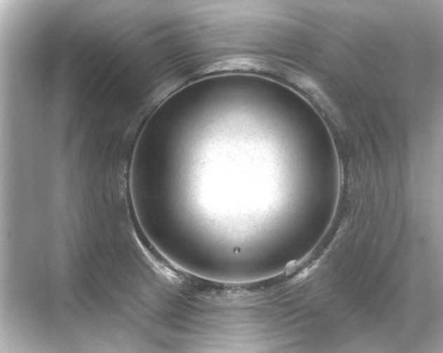 X0000071851233200607072253