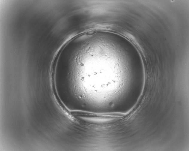 X0000071851235200607072253