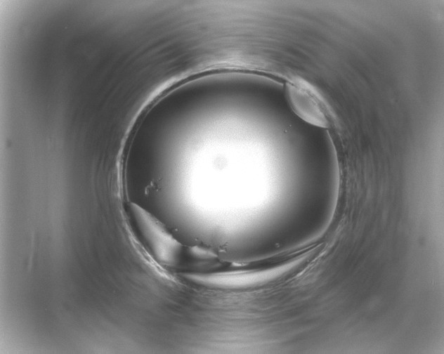 X0000071851238200607072253