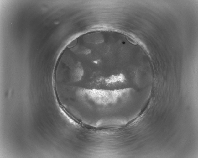 X0000071851239200607072253