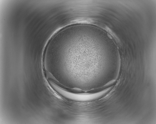 X0000071851240200607072253