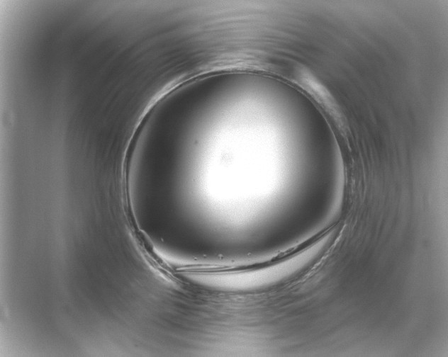 X0000071851242200607072253