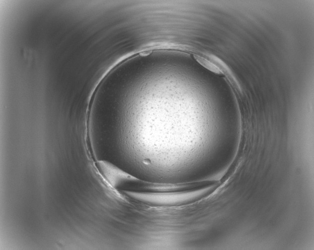 X0000071851244200607072253