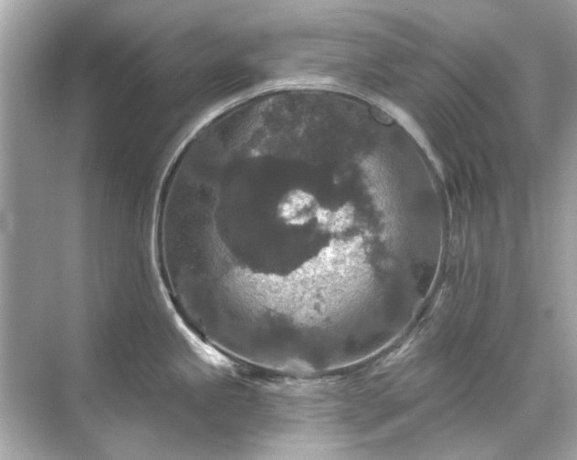 X0000071851245200607072253