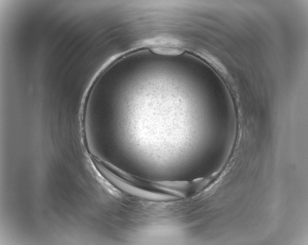 X0000071851248200607072253