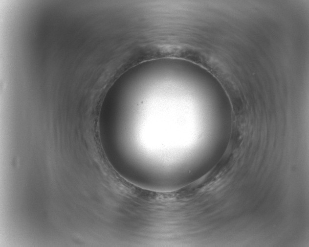 X0000071851249200607072252