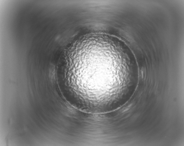 X0000071851251200607072252