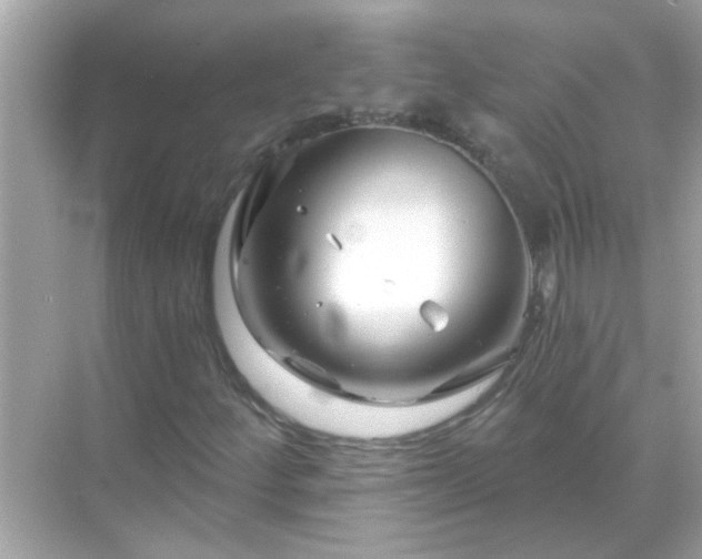 X0000071851252200607072252