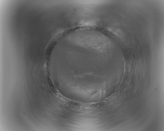 X0000071851254200607072252