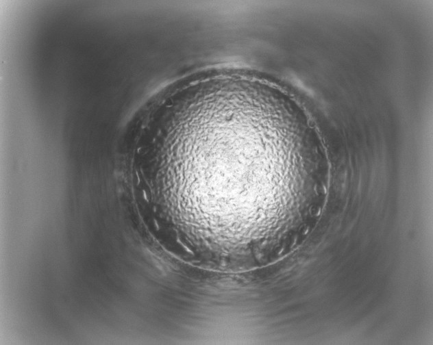 X0000071851255200607072252